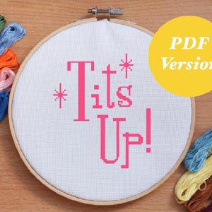 May include: A white embroidery hoop with pink thread stitched to create the phrase "Tits Up!" with stars on either side. The hoop is on a wooden surface with colorful embroidery floss spools.