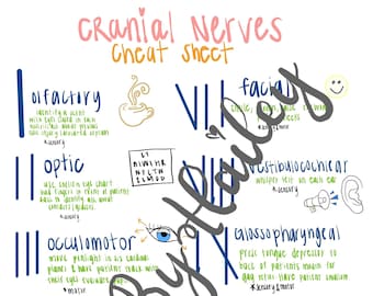 Cranial Nerves Nursing Cheat Sheet