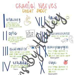 Cranial Nerves Nursing Cheat Sheet