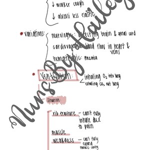 Gas Exchange & Respiratory Nursing Study Guide - Etsy