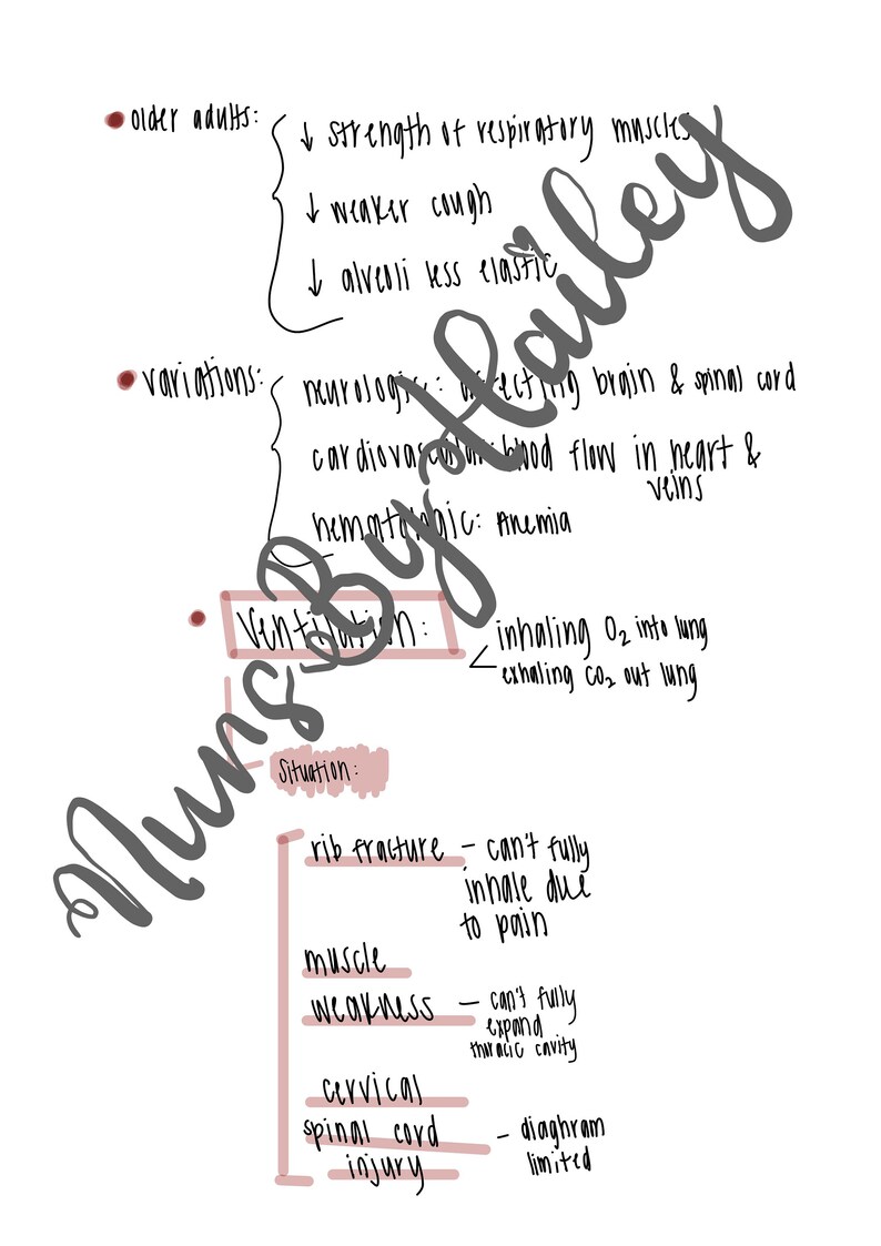 Gas Exchange & Respiratory Nursing Study Guide - Etsy