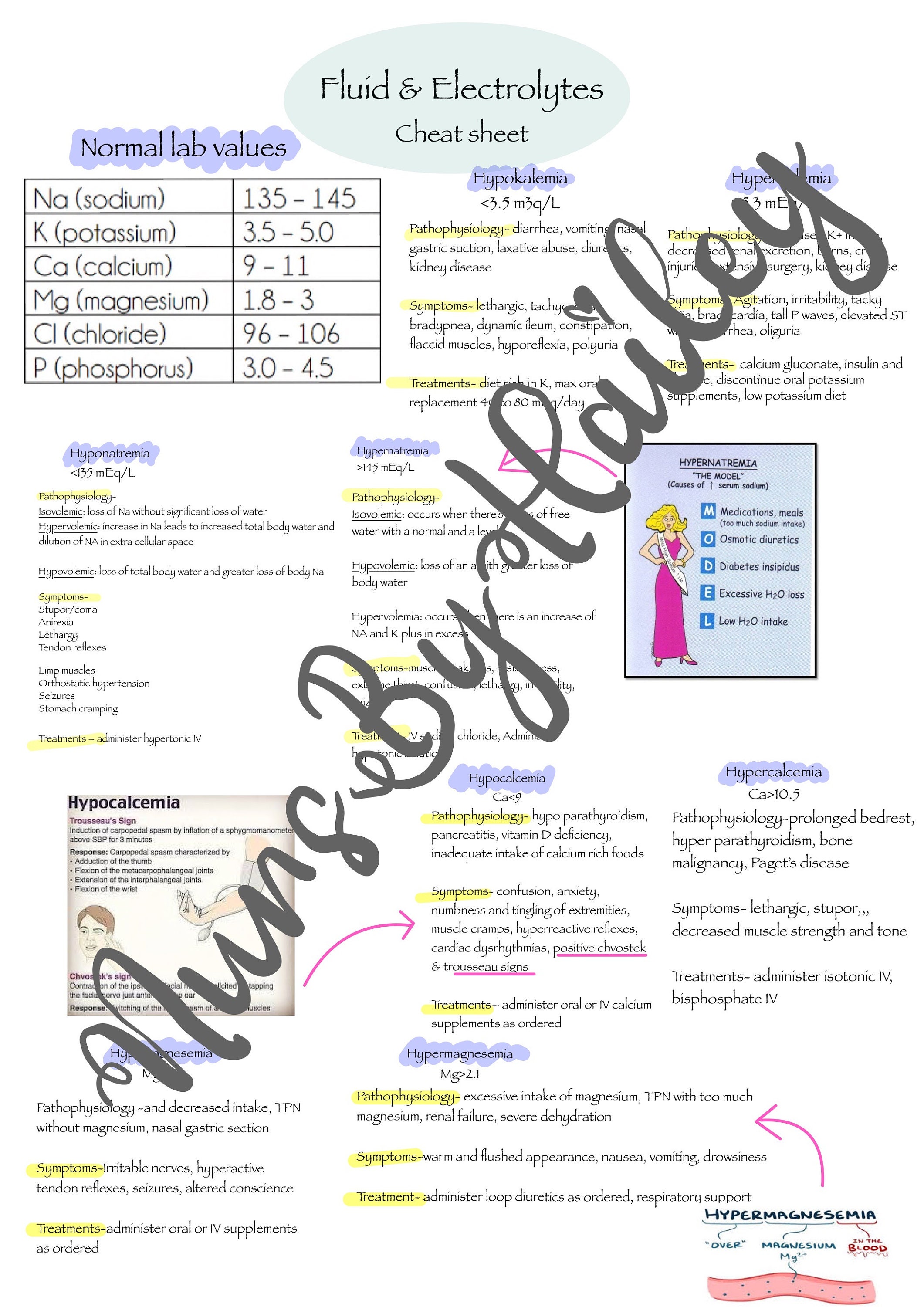 Fluid And Electrolytes Nursing Study Guide Etsy