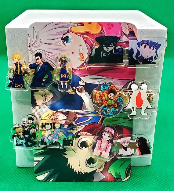 Set of 5 or 10 (random) Hunter Anime Hair Clips, Kawaii Style