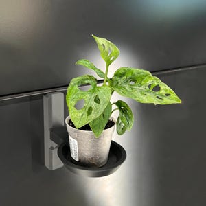 Magnetischer Pflanzenhalter - IKEA Hack für RUDSTA Gewächshaus