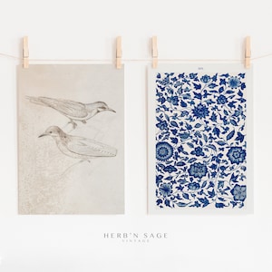 Antique Blue Floral and Bird Sketch Gallery Wall SET | Vintage Country Blue Home Decor Artwork | PRINTABLE Digital Wall Art