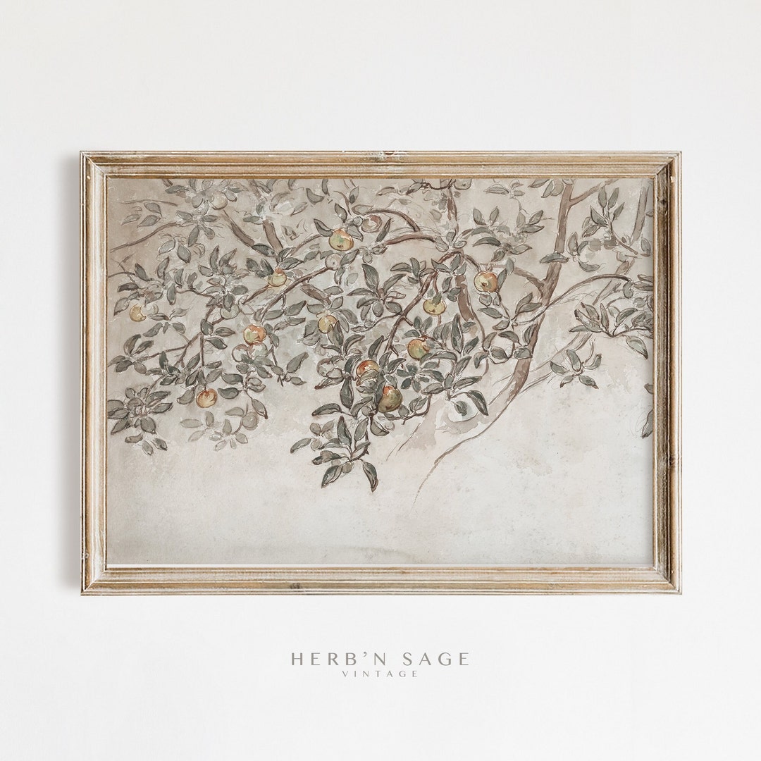 Antique Apple Tree Sketch Antique Rustic Country Farmhouse Fruit Tree