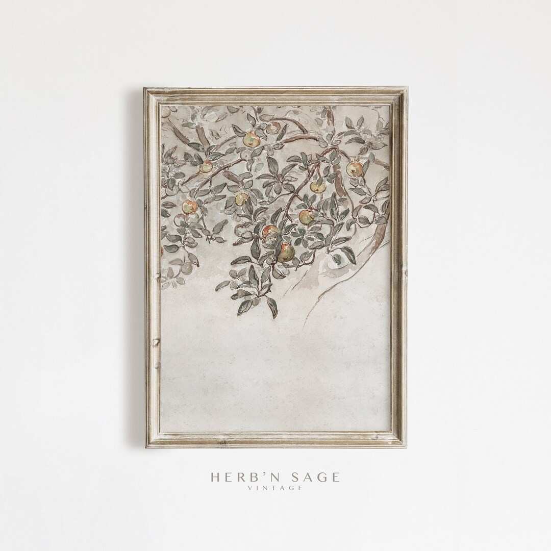 Antique Apple Tree Sketch Antique Rustic Country Farmhouse Etsy