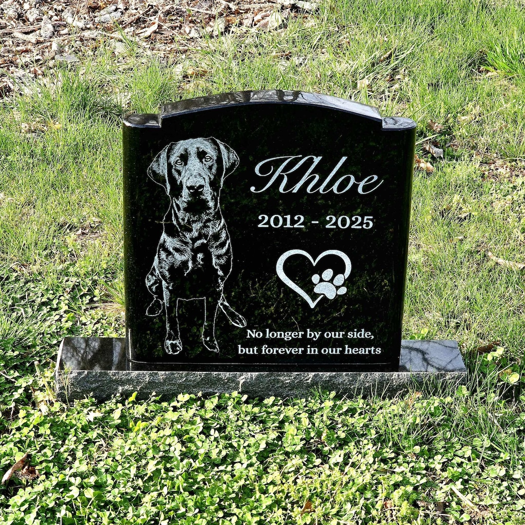 【DIG YOUR OWN GRAVE】【XU DOG】LACEUPSHORTS il_1080xN.6891021254_efk0.jpg