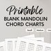 Blank Mandolin Tab Sheets for Bluegrass Beginners Intermediates Experts ...