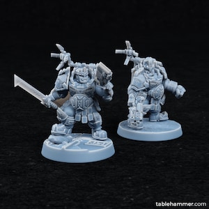 Tyr Veterans Miniatures: 28mm/32mm Tabletop Wargame Figures