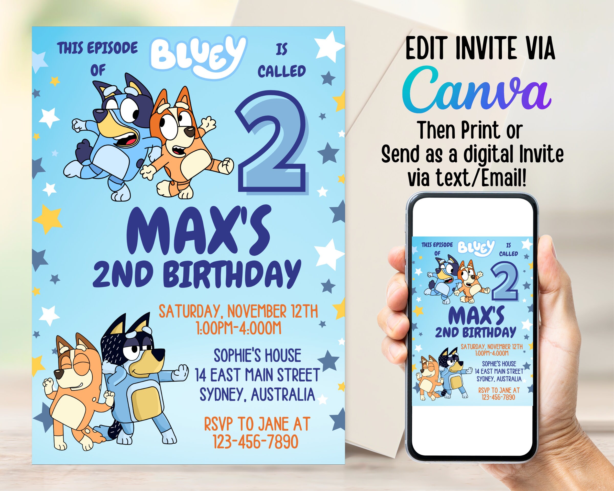 Bluey Party - Etsy