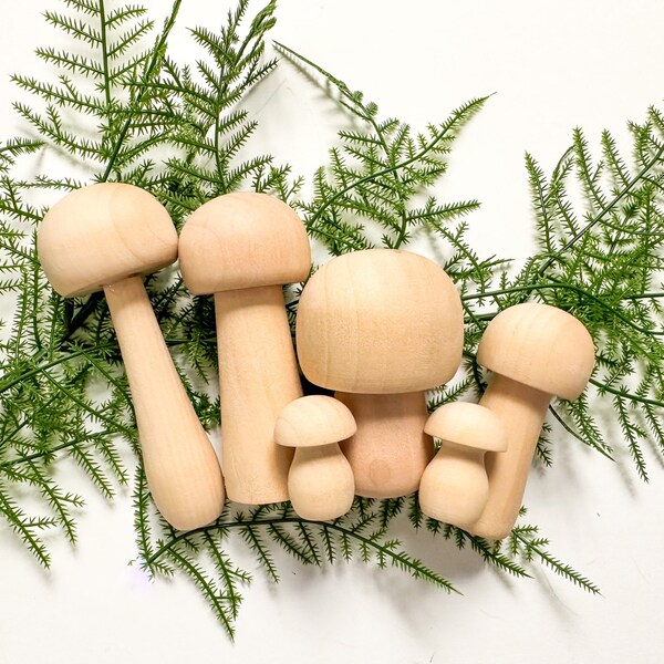 Mushroom Set Etsy