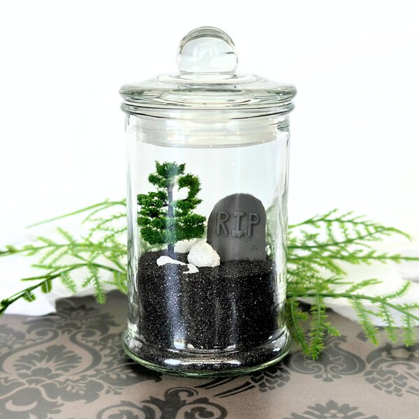 Desk Terrarium Kit Etsy