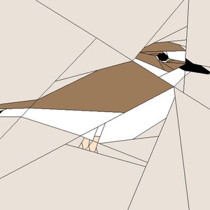 May include: A geometric illustration of a brown and white bird with a black beak. The bird is depicted against a light gray background with black lines.