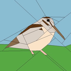 Puede incluir: Ilustración geométrica de un pájaro con un pico largo, de pie sobre hierba verde contra un cielo azul. El cuerpo del pájaro está compuesto por varias formas en tonos de marrón, beige y blanco, con patas rosas.
