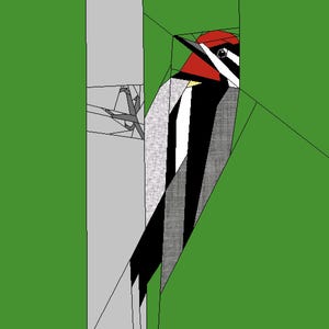 Puede incluir: Ilustración geométrica de un pájaro carpintero posado en un tronco de árbol. El ave presenta una cabeza roja, marcas negras y blancas y un cuerpo gris. El fondo es verde liso.