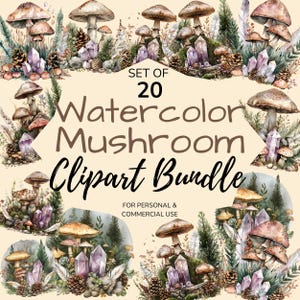Ensemble de cliparts PNG champignon, aquarelle forêt Nature champignon vénéneux clip art, Design par sublimation Cottagecore, art féerique mystique champignon