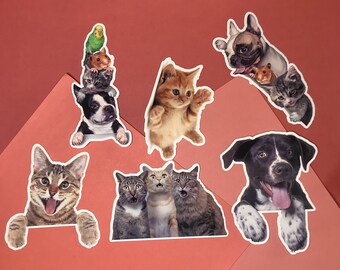6 Sticker Pack - Cute Animals - Vinyl Stickers - Approx Size 2.5inch