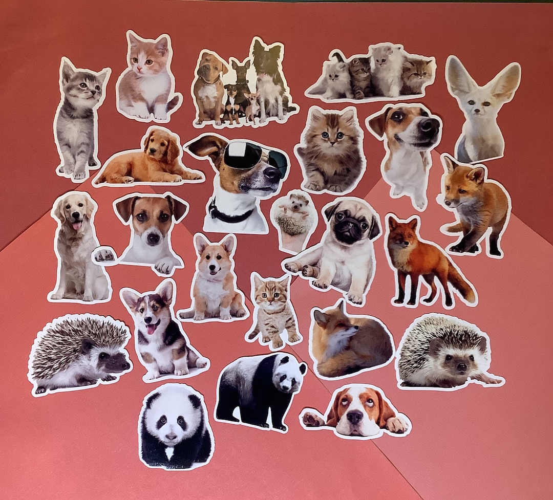 Animal Kit Sticker 22 Cute Animal Sticker Pack - Animal Cat Dogs Hedgehog Fox - Etsy UK
