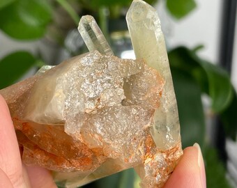希少 マダガスカル産 シトリンクラスター 原石 マダガスカル産の小さなシトリンクラスター - Etsy 日本