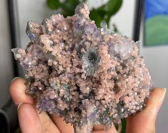 May include: A cluster of amethyst crystals with pink and grey accents. The crystals are arranged in a cluster and have a variety of shapes and sizes.