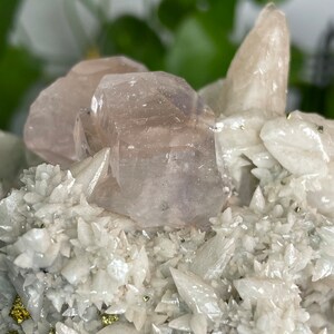May include: A cluster of white crystals with a large, clear, pink fluorite crystal on top. The crystals are surrounded by small, gold-colored pyrite crystals.