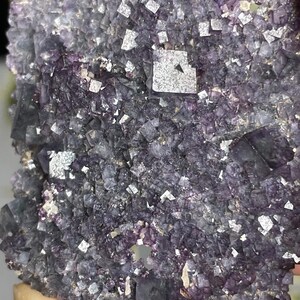 May include: A cluster of purple fluorite crystals with a silvery sheen. The crystals are small and tightly packed together, creating a textured surface.