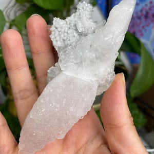 Op de afbeelding: Een witte kristalkluster met een unieke, puntige vorm. De kristal heeft een doorschijnende, melkachtig witte uitstraling en is een prachtig voorbeeld van natuurlijke schoonheid.