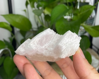 May include: A white selenite crystal with a layered, striated texture. The crystal is translucent and has a slight pink hue.