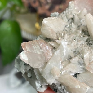 May include: A cluster of white and pink crystals with a shimmery, iridescent finish. The crystals are arranged in a natural, organic pattern, creating a unique and beautiful display.