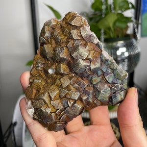 Unique Calcite Covered in Multi Colored Chalcopyrite/Pyrite from HuBei DaYe
