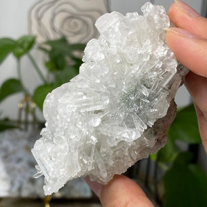 May include: A cluster of white selenite crystals with a green center. The crystals are arranged in a radial pattern, creating a flower-like shape.