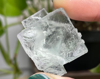 Fluorita verde claro vidriosa de un solo cubo de ZheJiang