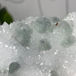 Beautiful Green Octahedral Fluorite on Quartz// Looks Like A Fluffy Cloud