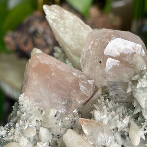 May include: A cluster of pink and white crystals with a rough, textured surface. The crystals are arranged in a variety of shapes and sizes, with some appearing to be translucent.