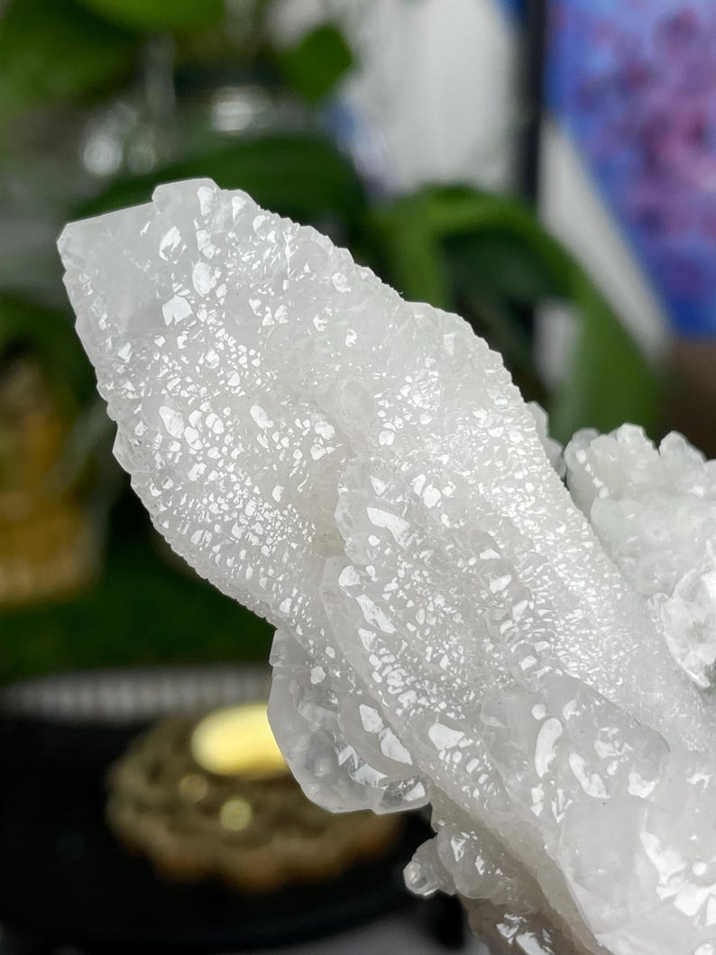 Op de afbeelding: Een cluster van witte kwartskristallen met een ruw, getextureerd oppervlak. De kristallen zijn in een natuurlijke formatie geclusterd.