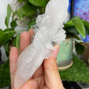 Superzeldzame lichtroze verencalciet op kleine melkkwartsmatrix van MaNaoShan afbeelding 3