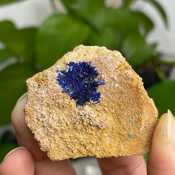 Interesting Azurite on Matrix From AnHui