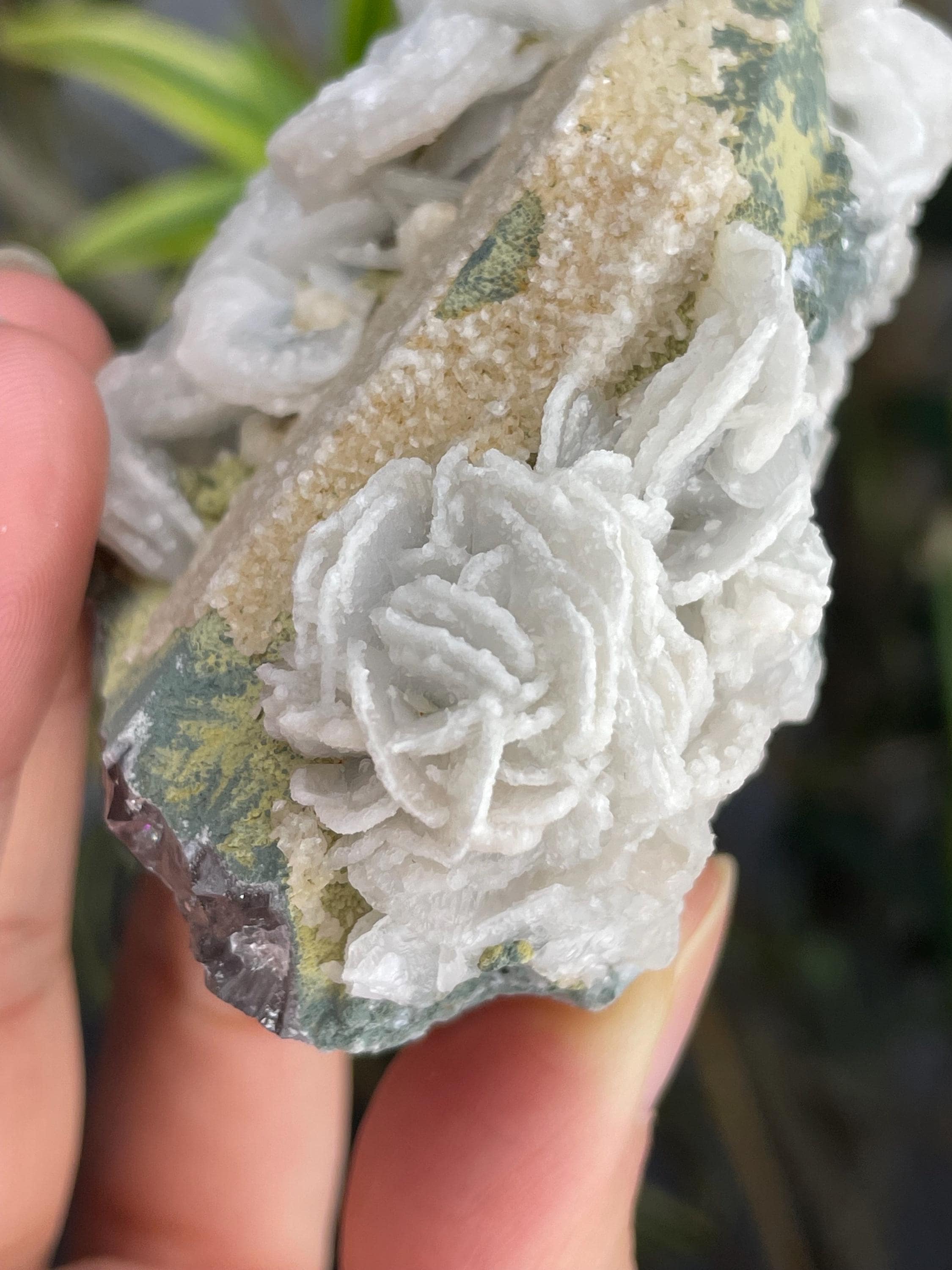 Mongolian Quartz - Etsy