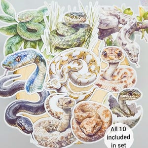 Stickers serpents à l'aquarelle | Lot de 10 | Papier autocollant animal réaliste découpé | Éphémères adhésifs brillants