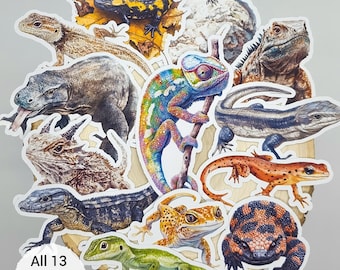Realistic Lizard Stickers | Set of 13 | Wildlife Animal Sticker Paper Die-Cuts | Glossy Adhesive Ephemera