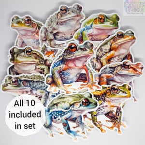 Realistische Laubfrosch Aufkleber | Aquarell Amphibien Glossy Verzierungen für Scrapbooks, Journals | 10er Set | von BlackLineDesignsArt