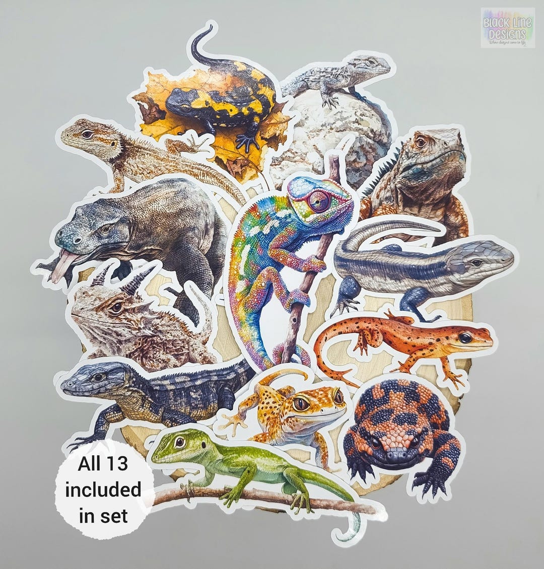 Realistic Lizard Stickers | Set of 13 | Wildlife Animal Sticker Paper ...