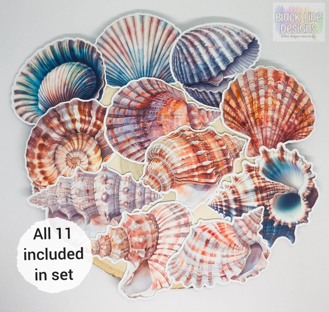 Seashell Stickers | Set of 11 | Watercolour Shell Sticker Paper Die ...