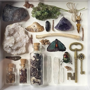 May include: A collection of natural and vintage items in a white display box, including a large quartz cluster, an amethyst stone, a dark rock, a moth wing, a beetle, a bone, a green moth, a metallic beetle, two brass keys, and glass vials.