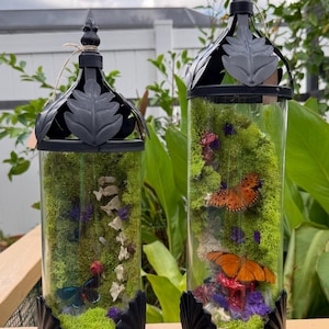 May include: Two decorative terrariums with black metal frames and glass cylinders. The terrariums are filled with green moss, colorful flowers, and butterflies. The terrariums have a black metal base and a decorative top with a leaf design.