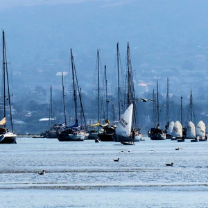 Sailboats. Windsurfers.  Morro Bay. California.  Pacific Ocean