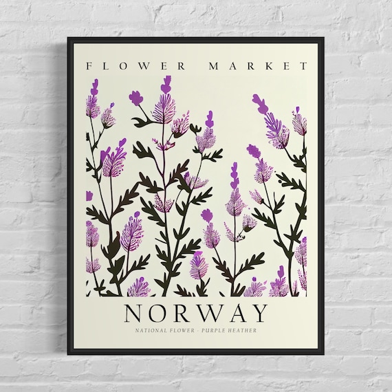 ノルウェーの国花、ノルウェーの花市場のアートプリント、紫色のヘザー
