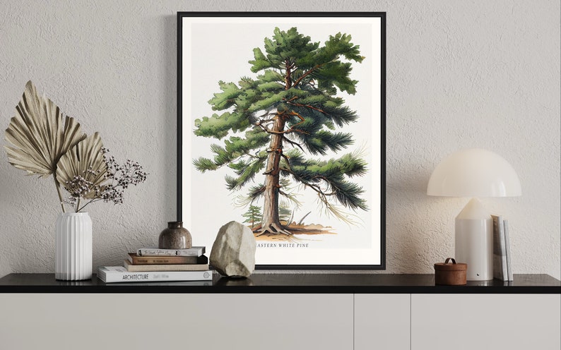 May include: A framed botanical illustration of an Eastern White Pine tree with green needles and a brown trunk. The illustration is on a white background with the text "Eastern White Pine" at the bottom.