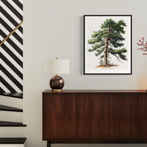 May include: A framed botanical illustration of a Eastern White Pine tree with the text "Eastern White Pine" below the image. The frame is black and the image is on a white background. The print is displayed on a wall above a dark brown wooden dresser with a gold lamp and a white vase with red berries.
